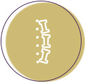 脊柱整骨