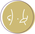 中医减肥